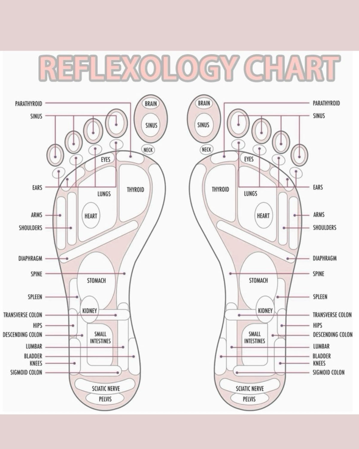 Acupressure Foot Massage Mat Dual (Pink / M)