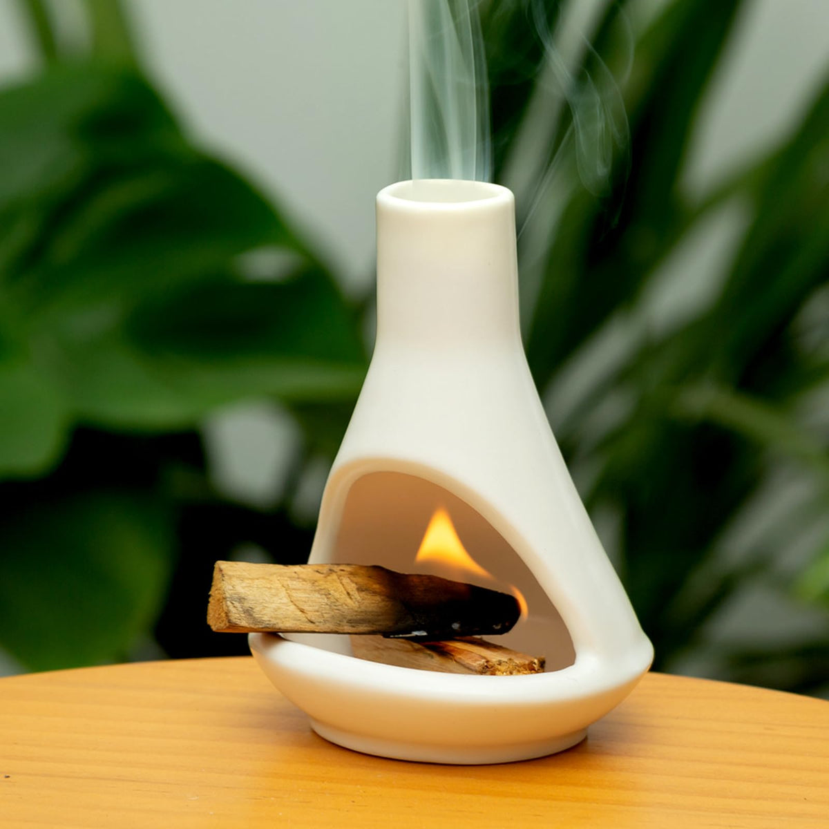 Modern Ceramic Palo Santo Holder & Burner (Palo Santo Holder-white)