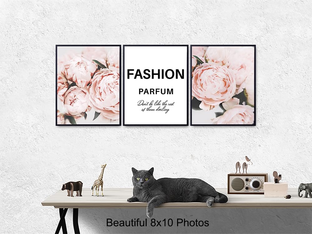 Fashion Wall Art (3 - 8x10 inch prints)