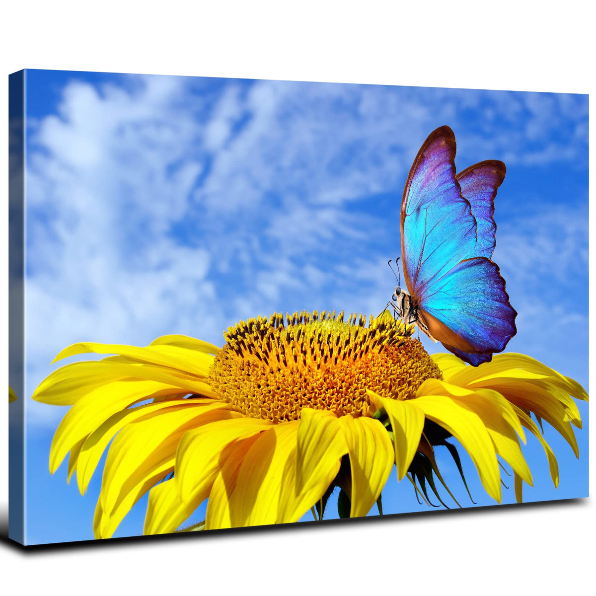 Sunflower Wall Art Bathroom Decor Blue Butterfly Canvas Pictures for Bedroom Sunflower Wall Decor Floral Posters Living Room Kitchen Home Decoration Yellow Sunshine Flower Painting Modern Artwork 24x36" (36"L x 24"W / Sunflower Butterfly)