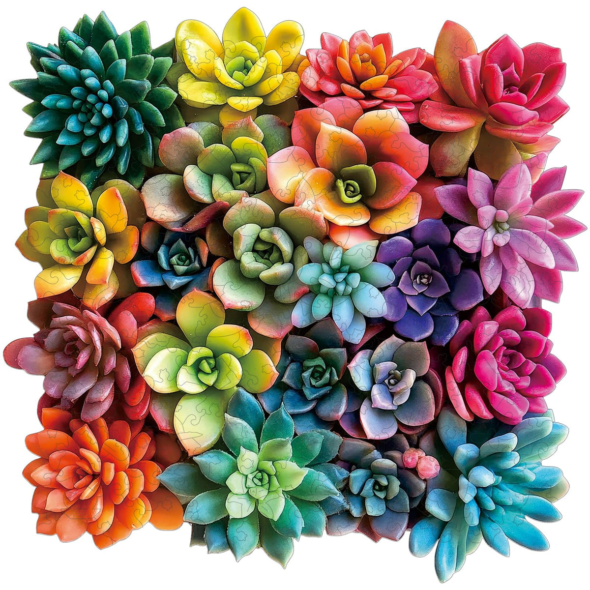 200 Pieces Wooden Puzzles (Succulent / 200 pieces)