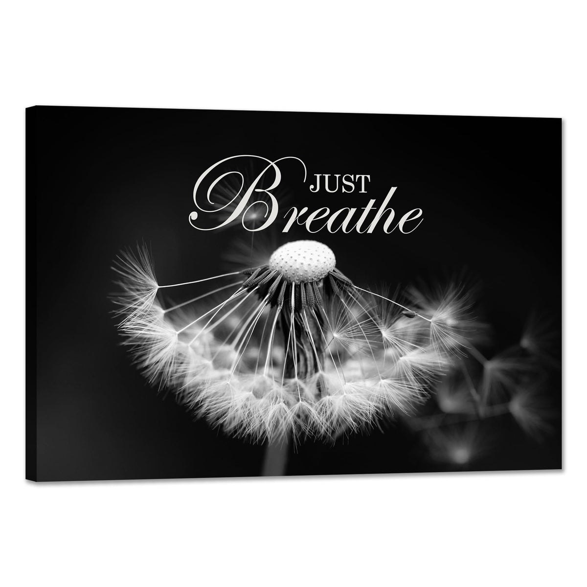 Zen Wall Art Just Breathe Canvas Picture Positive Inspirational Dandelion Framed Artwork Poster Mental Health Office Pictures Wall Decor for Bathroom (24"L x 36"W / Dandelion-04)
