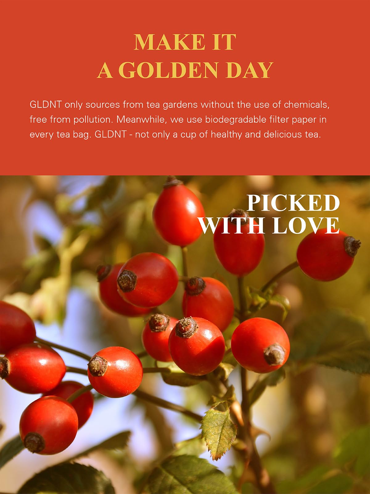 Organic Rosehips Tea Bags