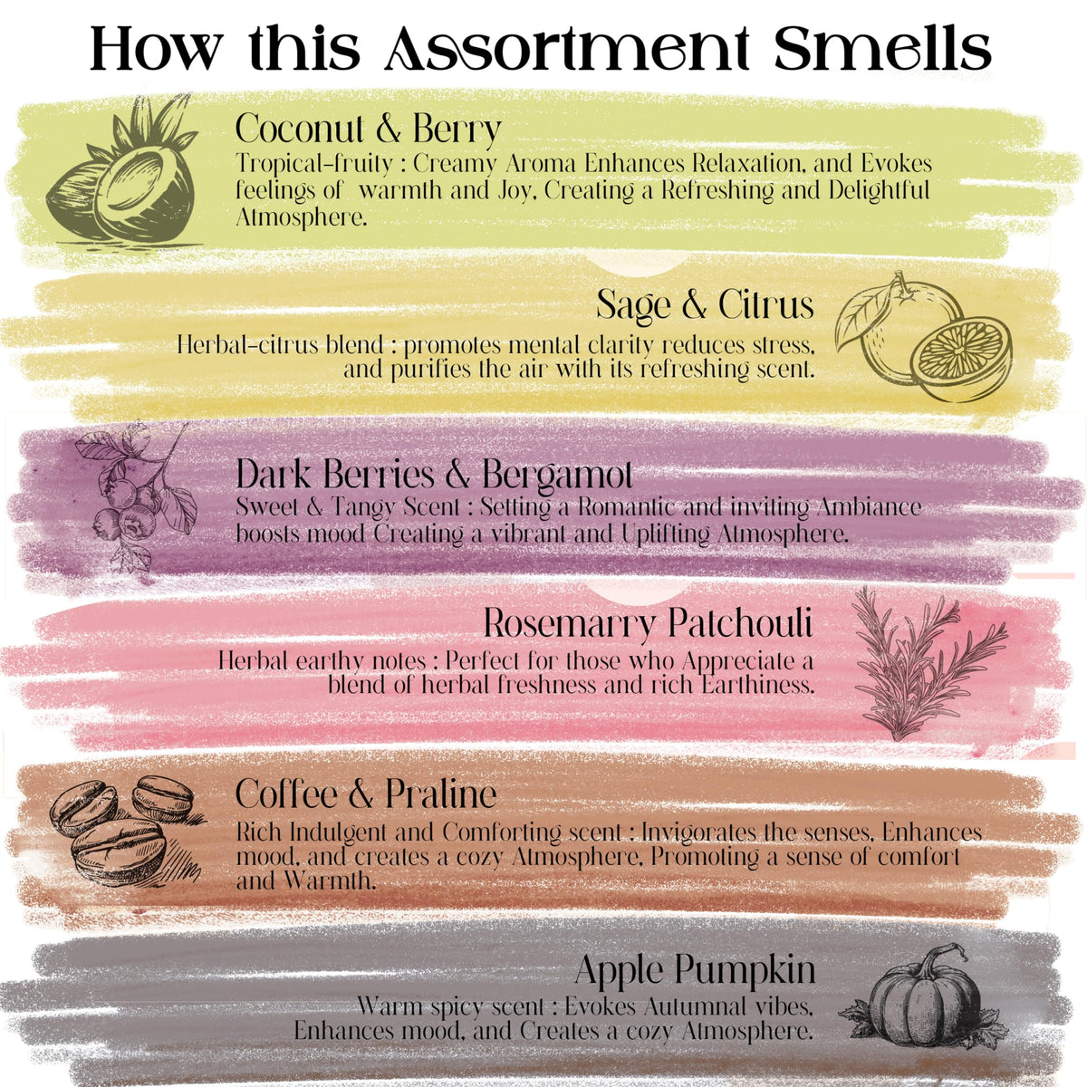 Natural Incense Sticks with Insence Holder (Enchanted Moments)