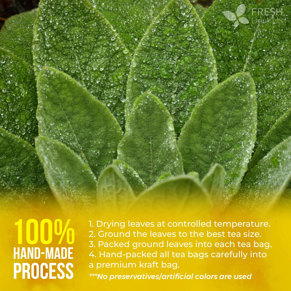 Premium Mullein Leaf Tea (1 Count)