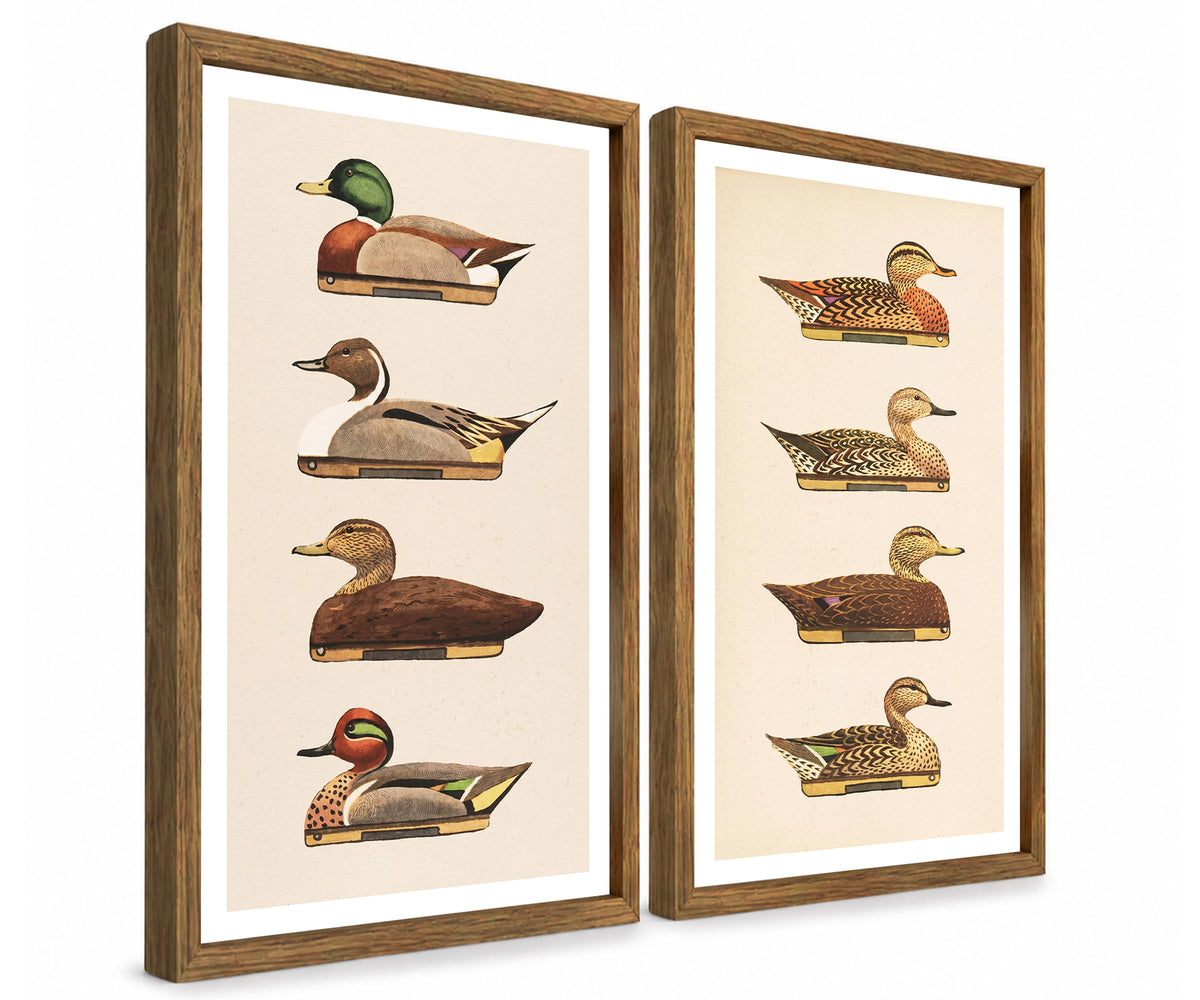 Vintage Duck Wall Art Set of 2 Framed (landduck / 16"L x 24"W)
