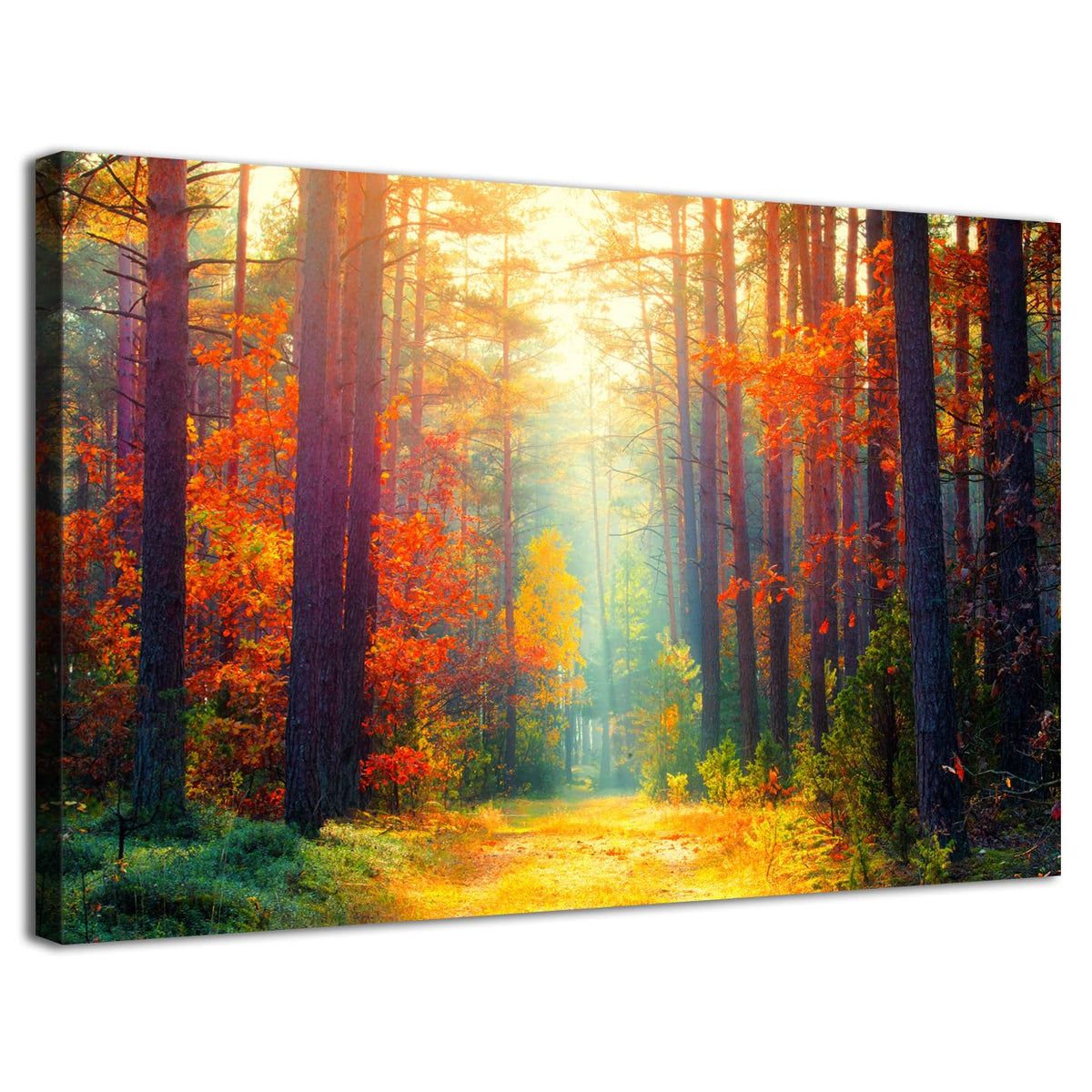 Large Forest Wall Art Fall Scenery Pictures Living Room Autumn Canvas Prints Bedroom Decor Nature Tree Poster Sunshine Orange Maple Leavers Landscape Paintings Bathroom Artwork Home Decorations 32x48 (48"L x 32"W / Fall Forest)