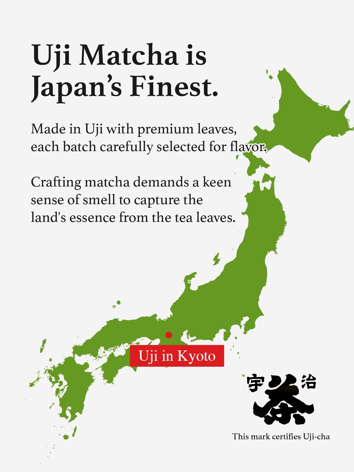 Wakamatsu Uji Matcha Powder