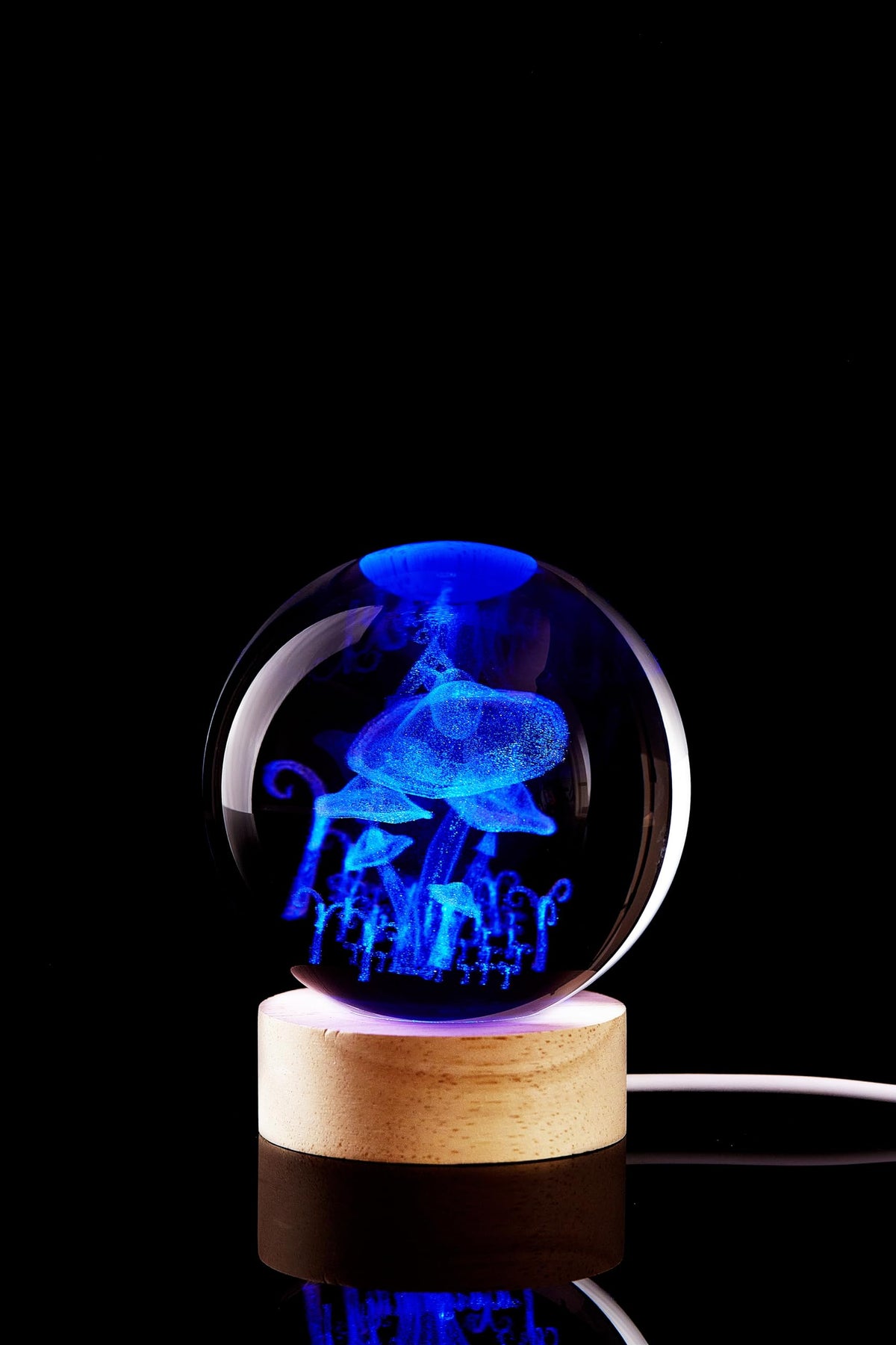 Large Mushroom Crystal Ball Night Light with Woodern Base (Mushroom)