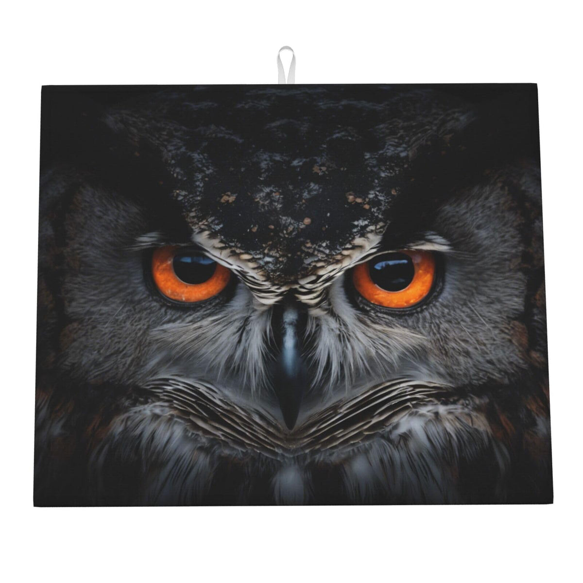 Orange Eye Owl Dish Drying Mat For Kitchen Counter Dry Mats Microfiber Dish Drainer Mat Protector Pad Absorbent Fast Drying Kitchen Must (Orange Eye Owl / 18" x 16")