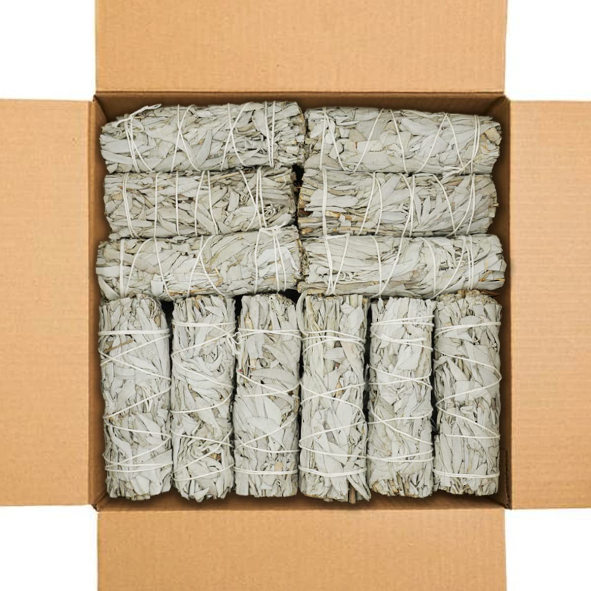 White Sage 4" (4 Inch / 50 PIECES)