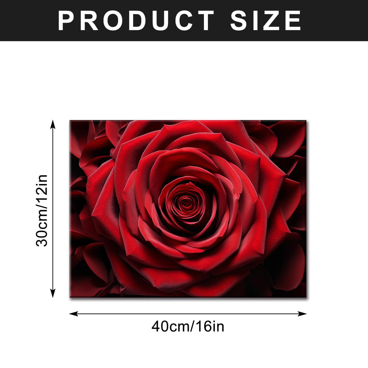 Red Rose Close Up Detail Modern Framed Flowers Giclee Canvas Prints Red Romantic Rose Flower Nature Floral Photography Realism Botanical for Living room Bedroom Bathroom 12"x16" Framed (16"L x 12"W / Rose)