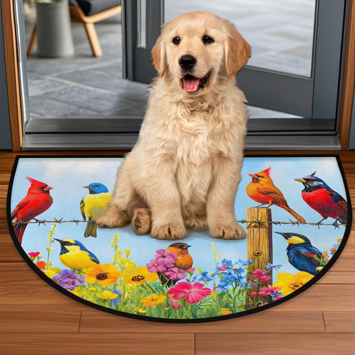 Front Door Mat Indoor Outdoor Entrance (A-11 Birds)