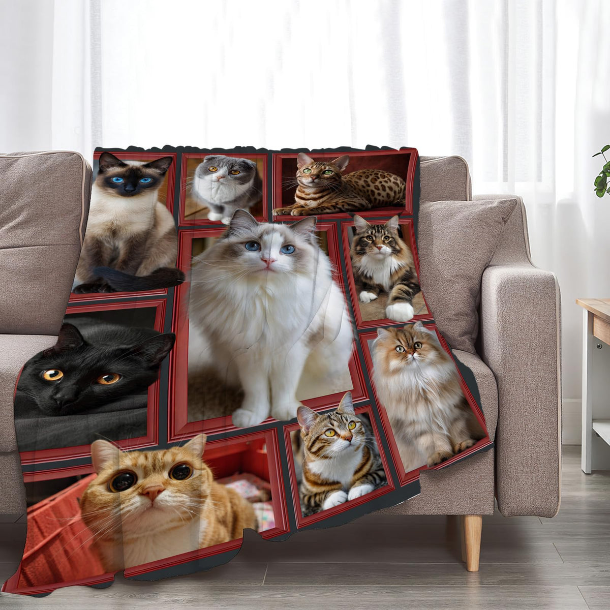 Ragdoll Cat Throw Blanket (60"x80" / Cat)