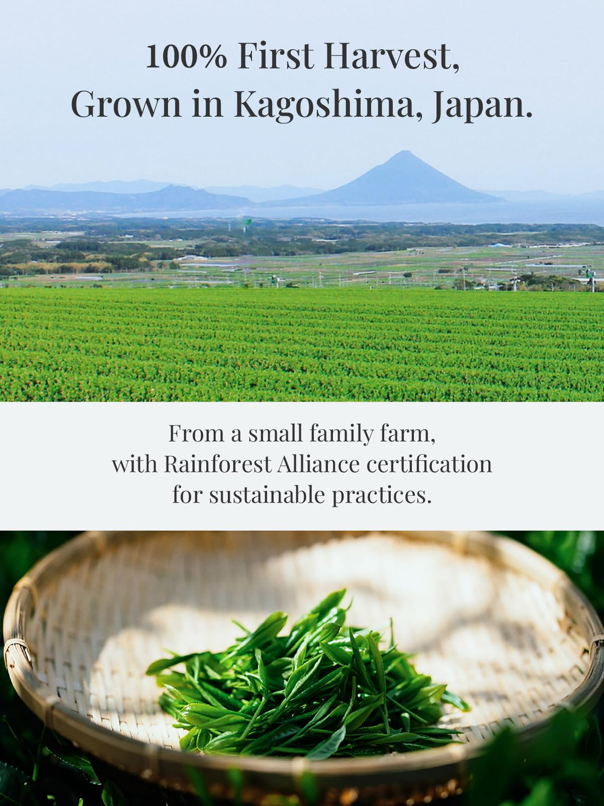Wakasumi" Japanese Matcha Green Tea Powder