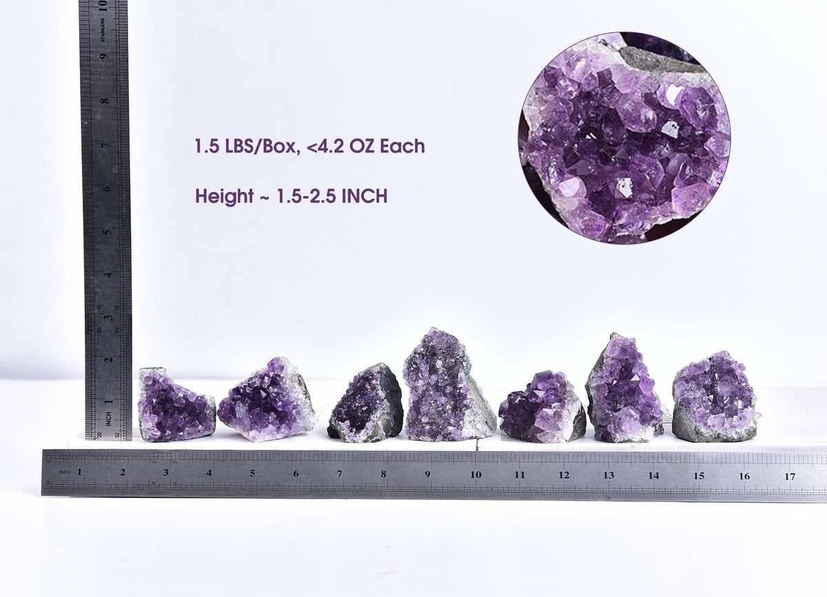 Natural Amethyst Clusters (Amethyst / 1.5 Lbs)