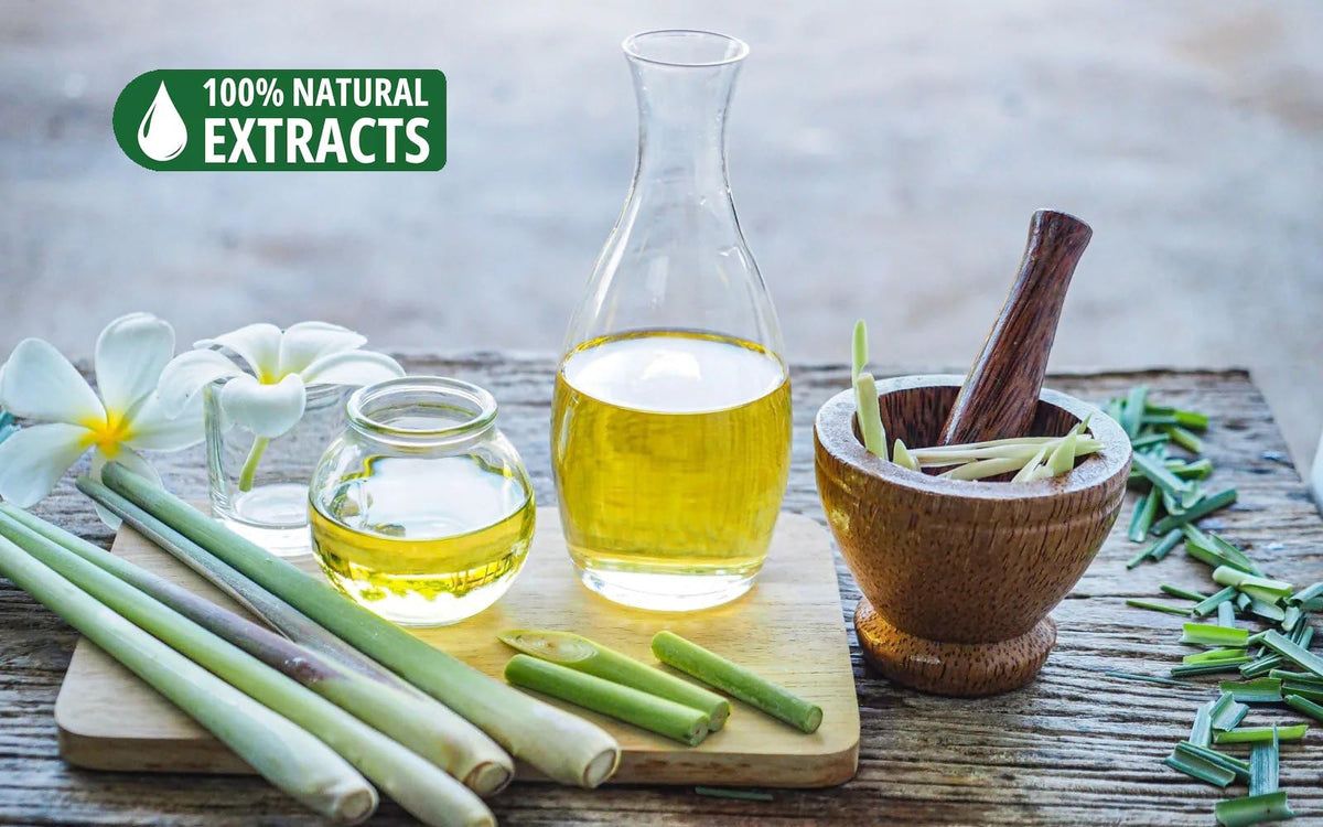 Bless Organic (Lemon Grass / 500 Sticks (26 OZ/750 GM))