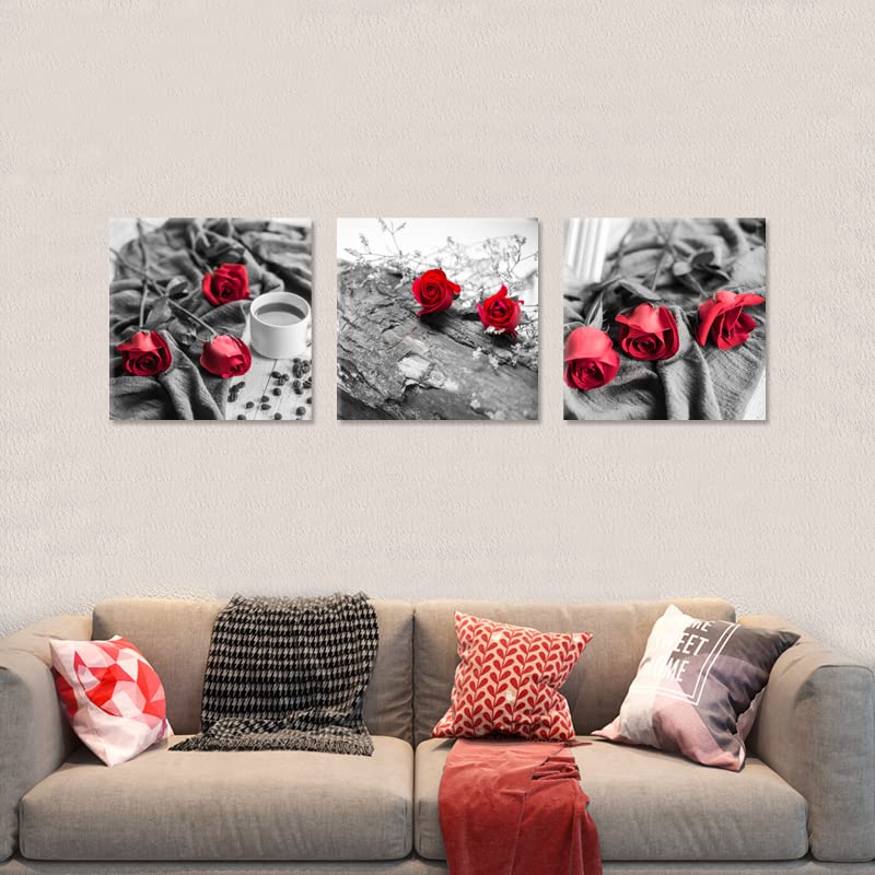 Canvas Print 3 Pcs Black and White Red Rose Canvas Art Painting Abstract Wall Art Decorations Flower Picture on Canvas for Home Decor Stretched and Framed (20 x 20 inches (3-Piece Set) / B&W Rose)