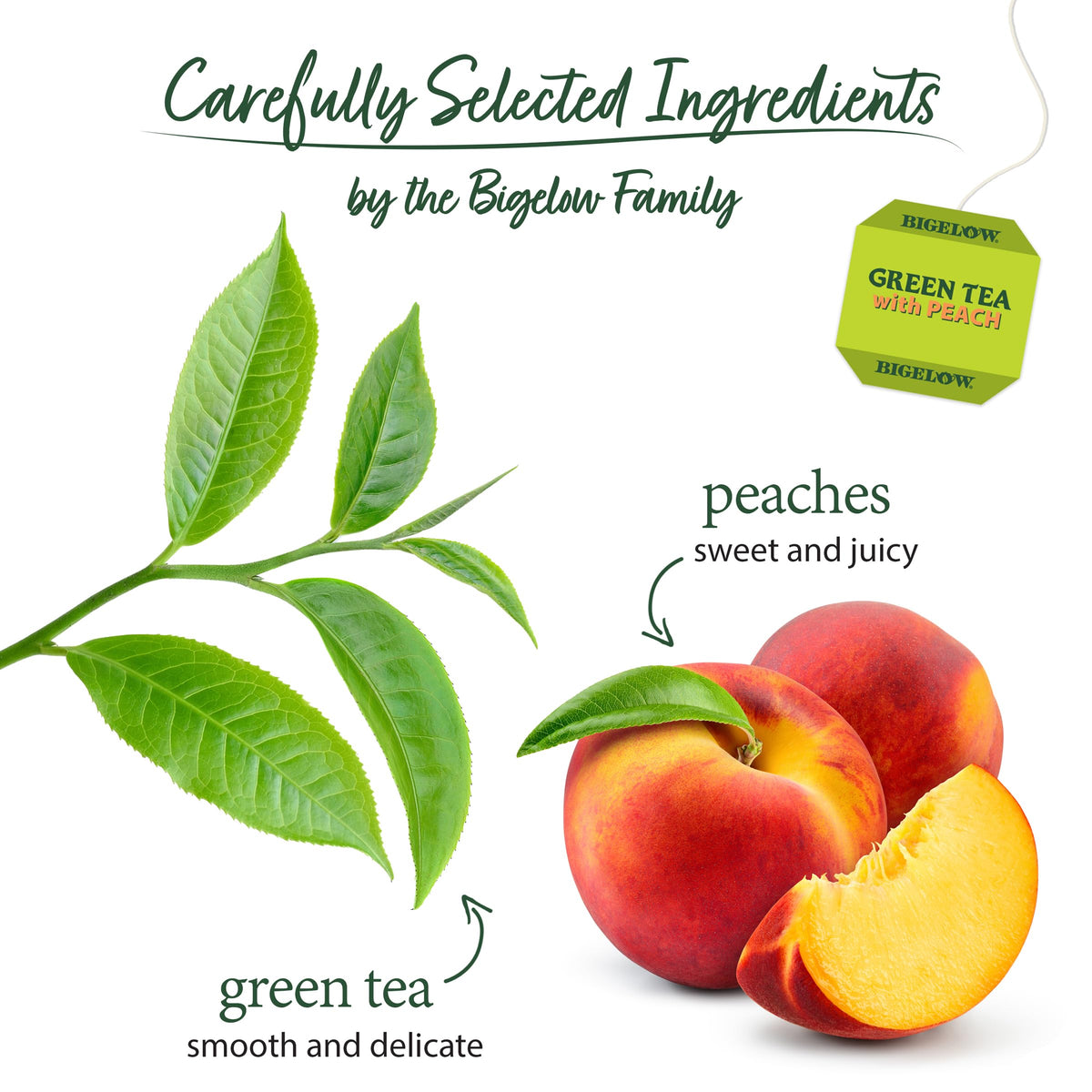 Green Tea with Peach (20 Count (Pack of 6))