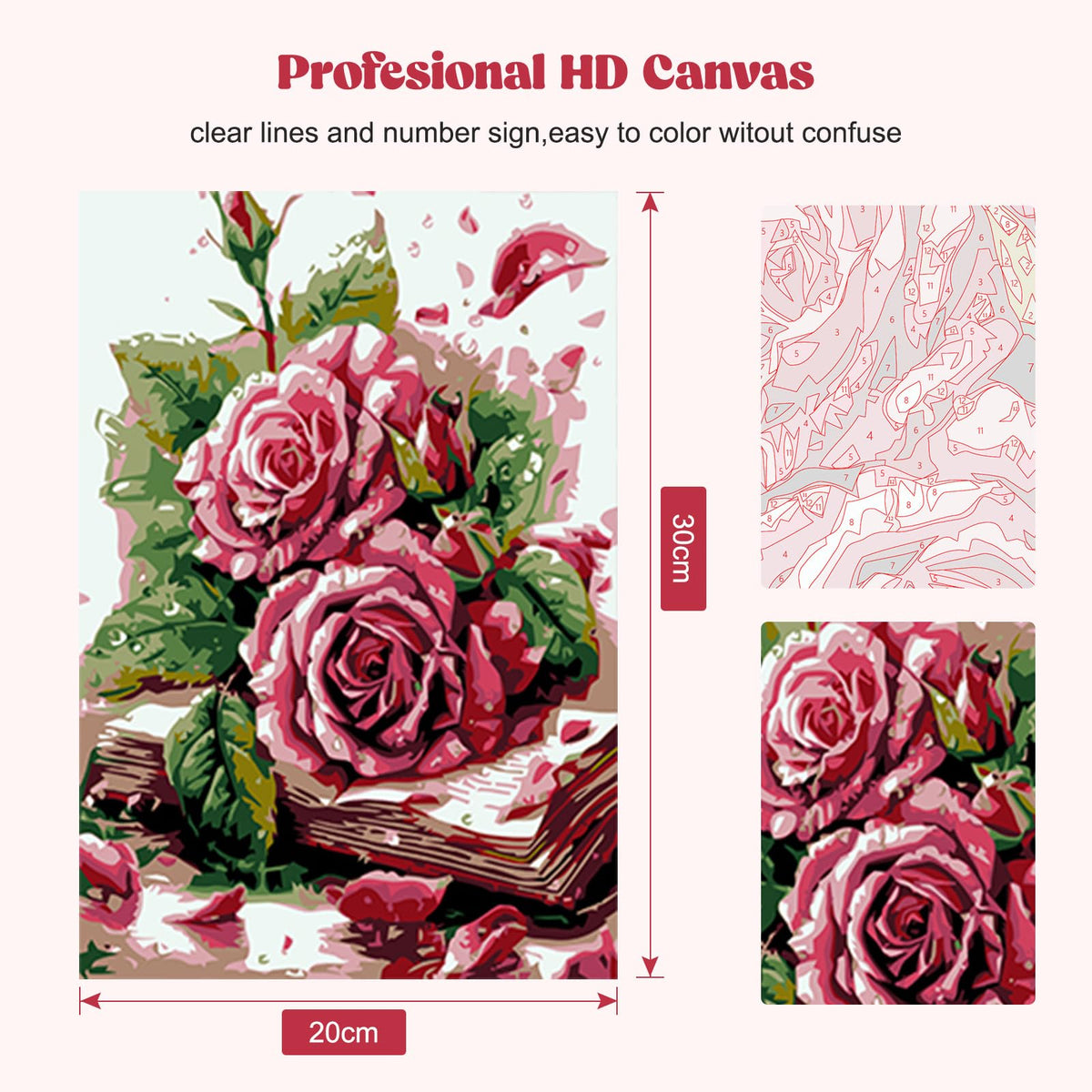 Rose Paint by Numbers Kit for Adults Beginner