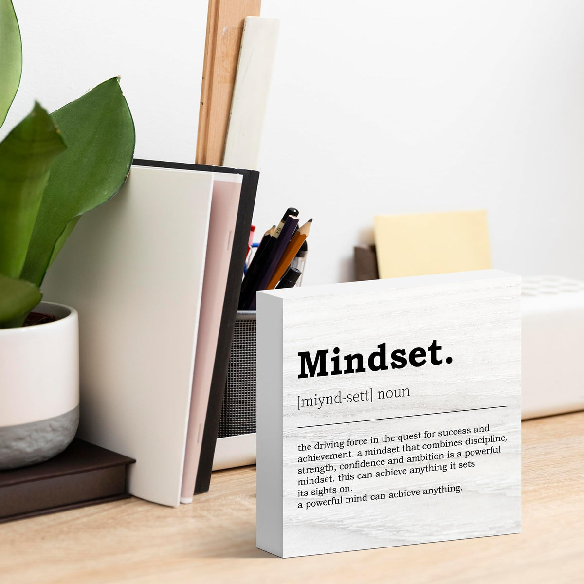 Mindset Definition Decor for Office (Coral)