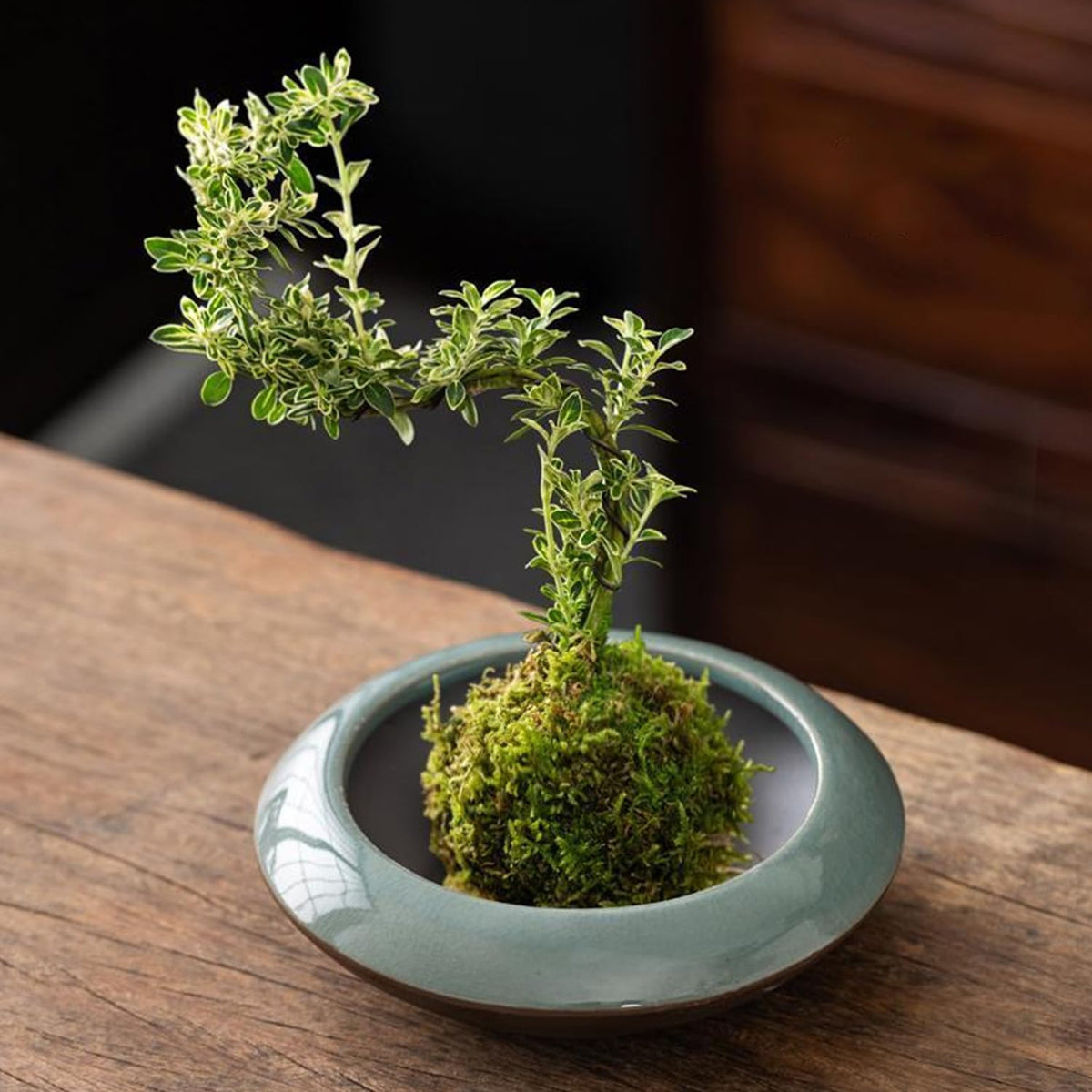 Ikebana Vase Kit Ceramic Flower Frog Vase with Stainless Kenzan Flower Frog Vase Flower Arrangement Pot for Floral Displays Moss & Hydroponic Plants Zen Decor Gift (Ge Kiln Small Size)