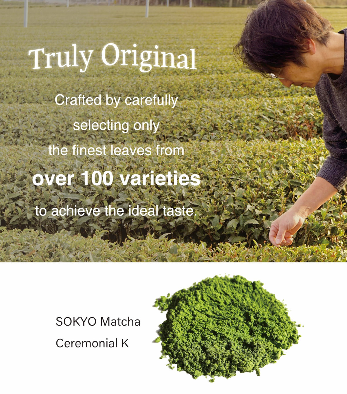 ceremonial matcha series 3.5oz Powdered green tea Japanese matcha (3.52oz / 100g)