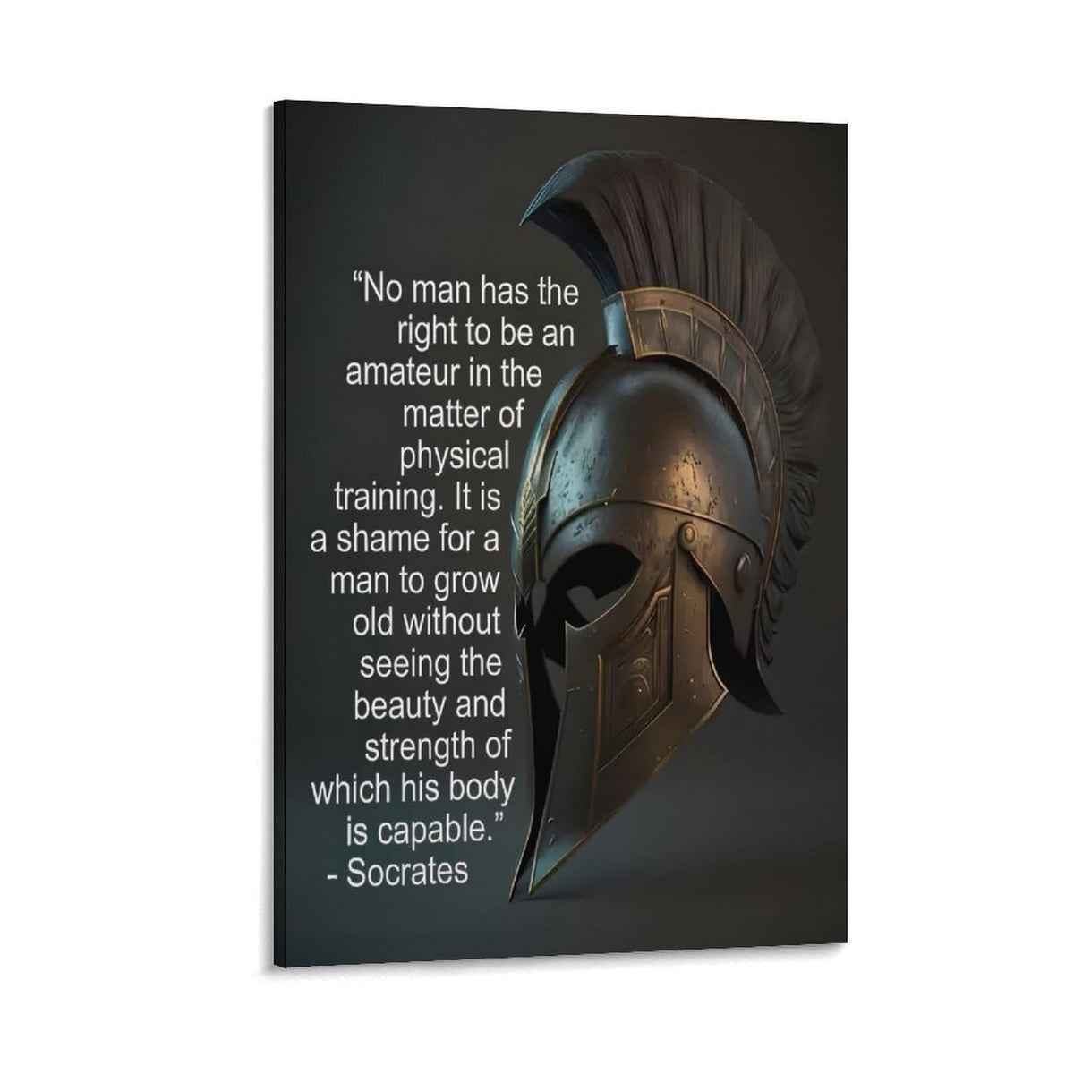 Socrates Physical Training Quote Spartan Helmet Canvas Printing Wall Art Prints Wall Decor Posters Motivational Gym Philosophy Modern Minimalist Living Room Bedroom Office 20x30inch (style-25 / 20x30inch(50x75cm) Frame)