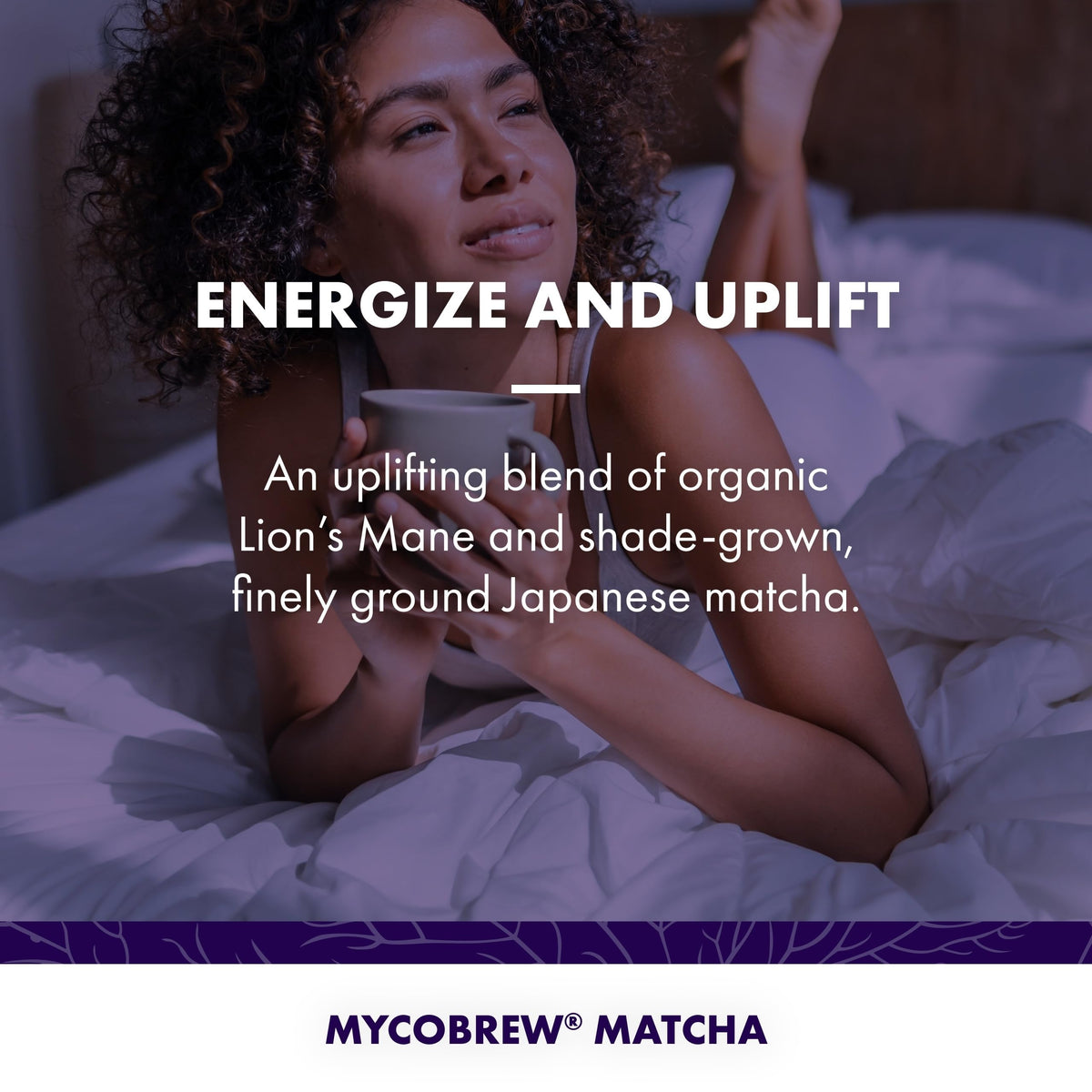 MycoBrew Matcha (0.1 Ounce (Pack of 10))
