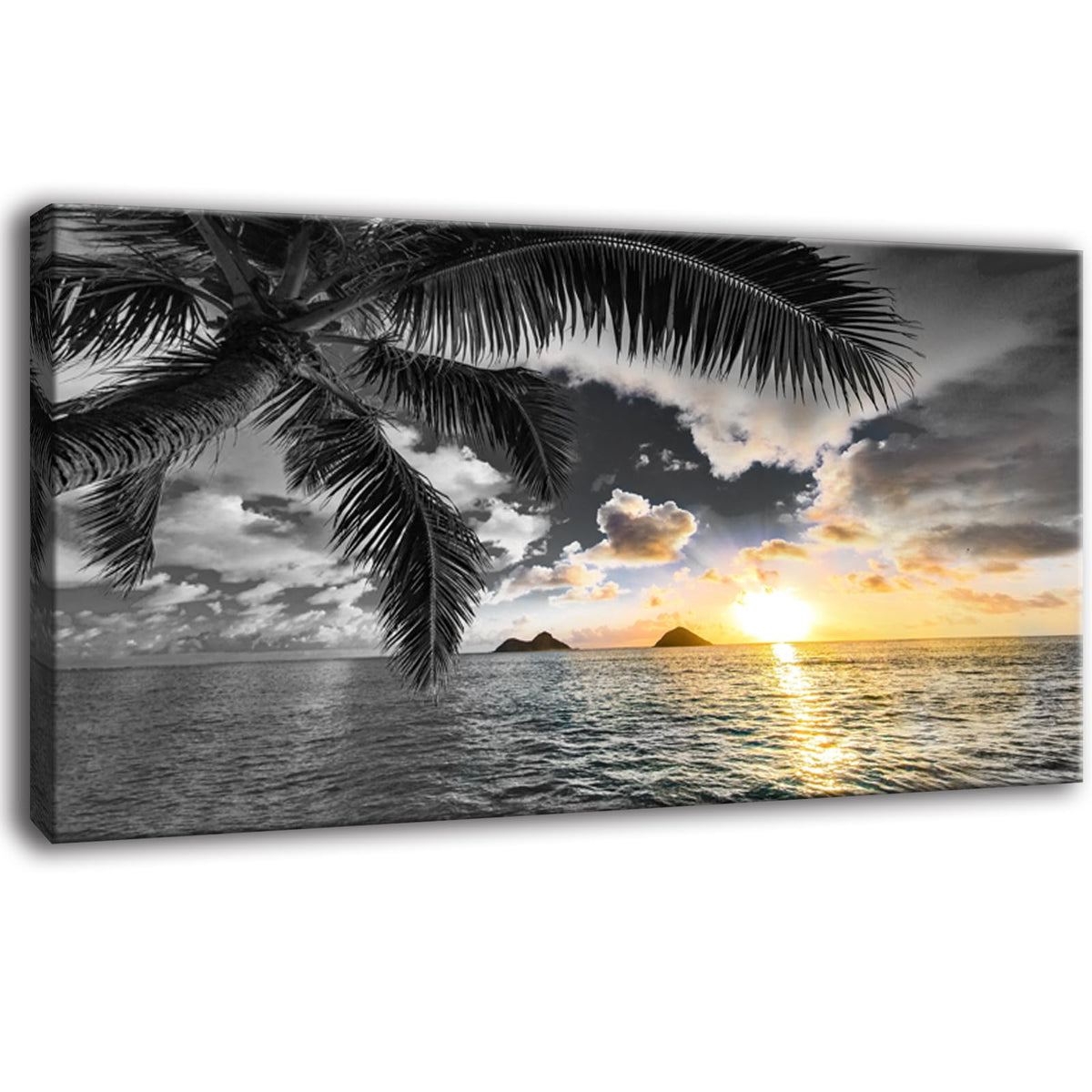Wall Decor Living Room Black and White Beach Wall Art Sunset Seascape Pictures Palm Canvas Prints Art Wall Decor Bedroom Ocean Poster Painting for Home Office Decoration Scenery Artwork (beach HB / 40"L x 20"W)