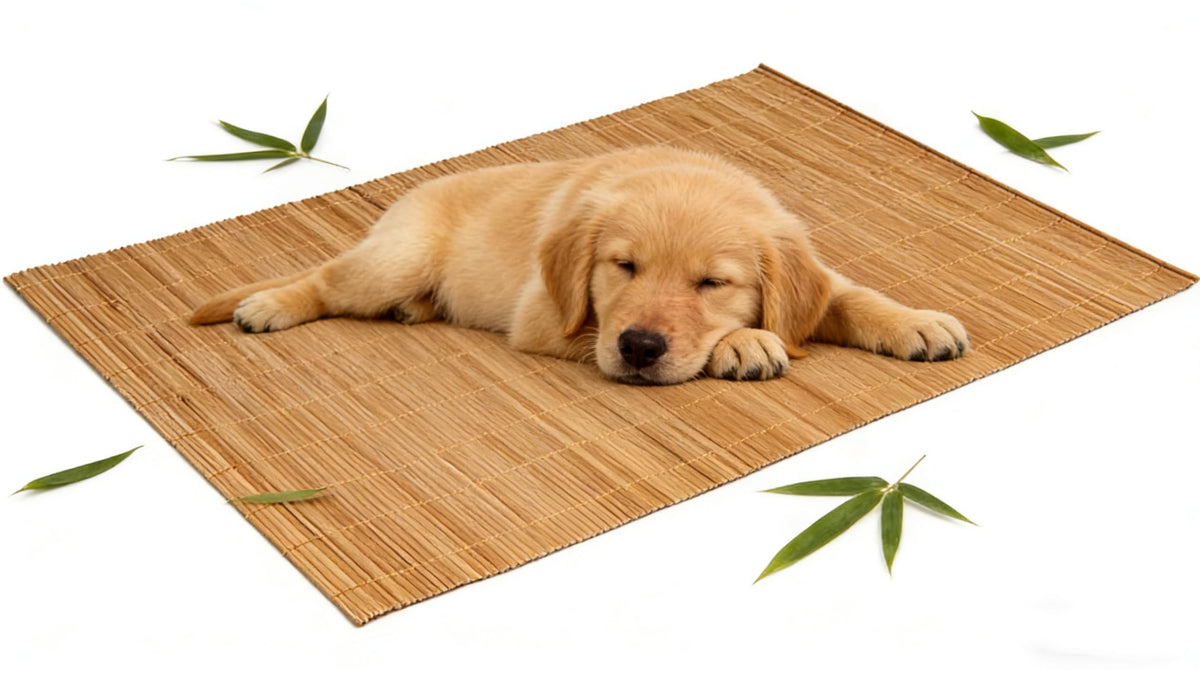 Dining Table Placemat (As Picture)