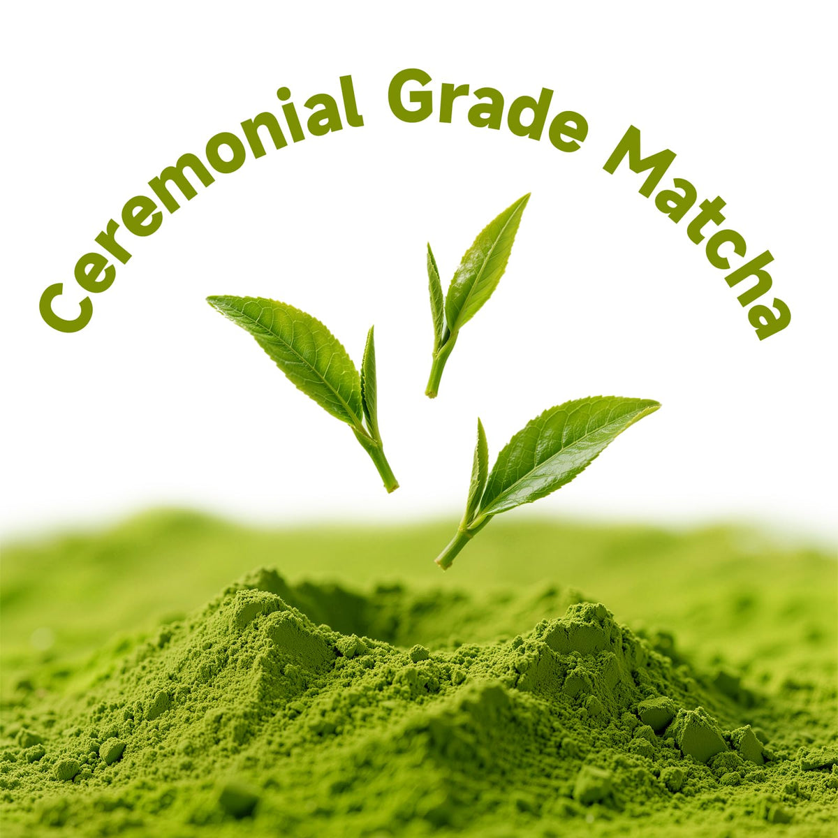 Mushroom Matcha Latte Powder (6.35oz)