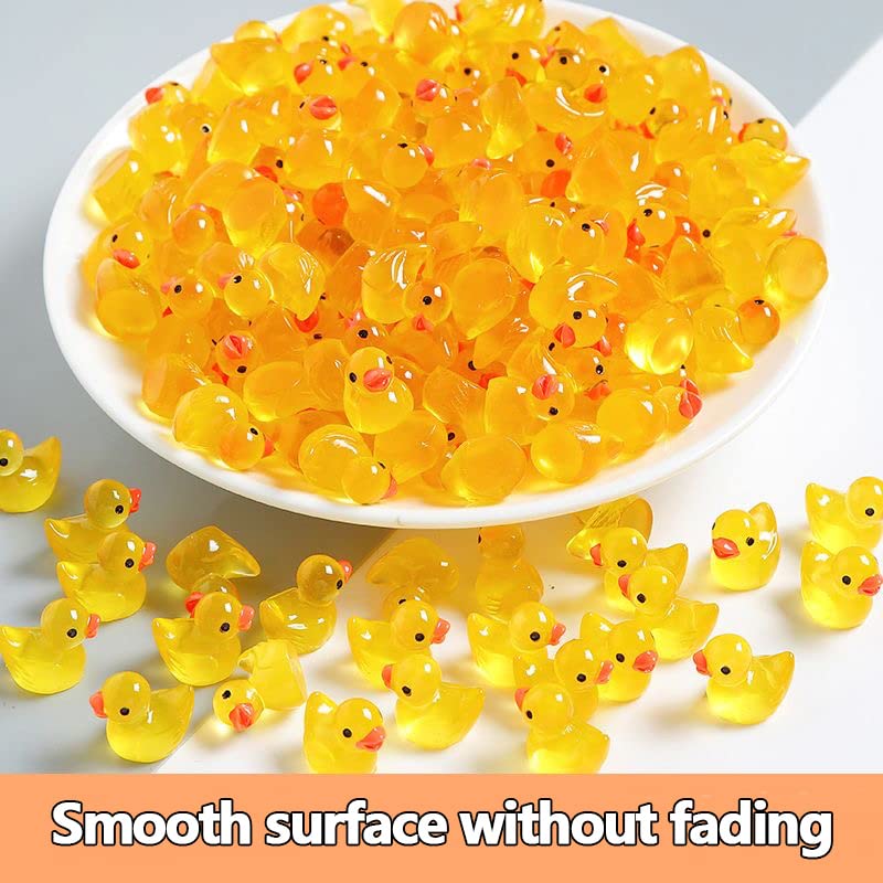 200 Pieces Fairy Garden Accessories (200 Fairy Garden Accessories, Mini Resin Duck)