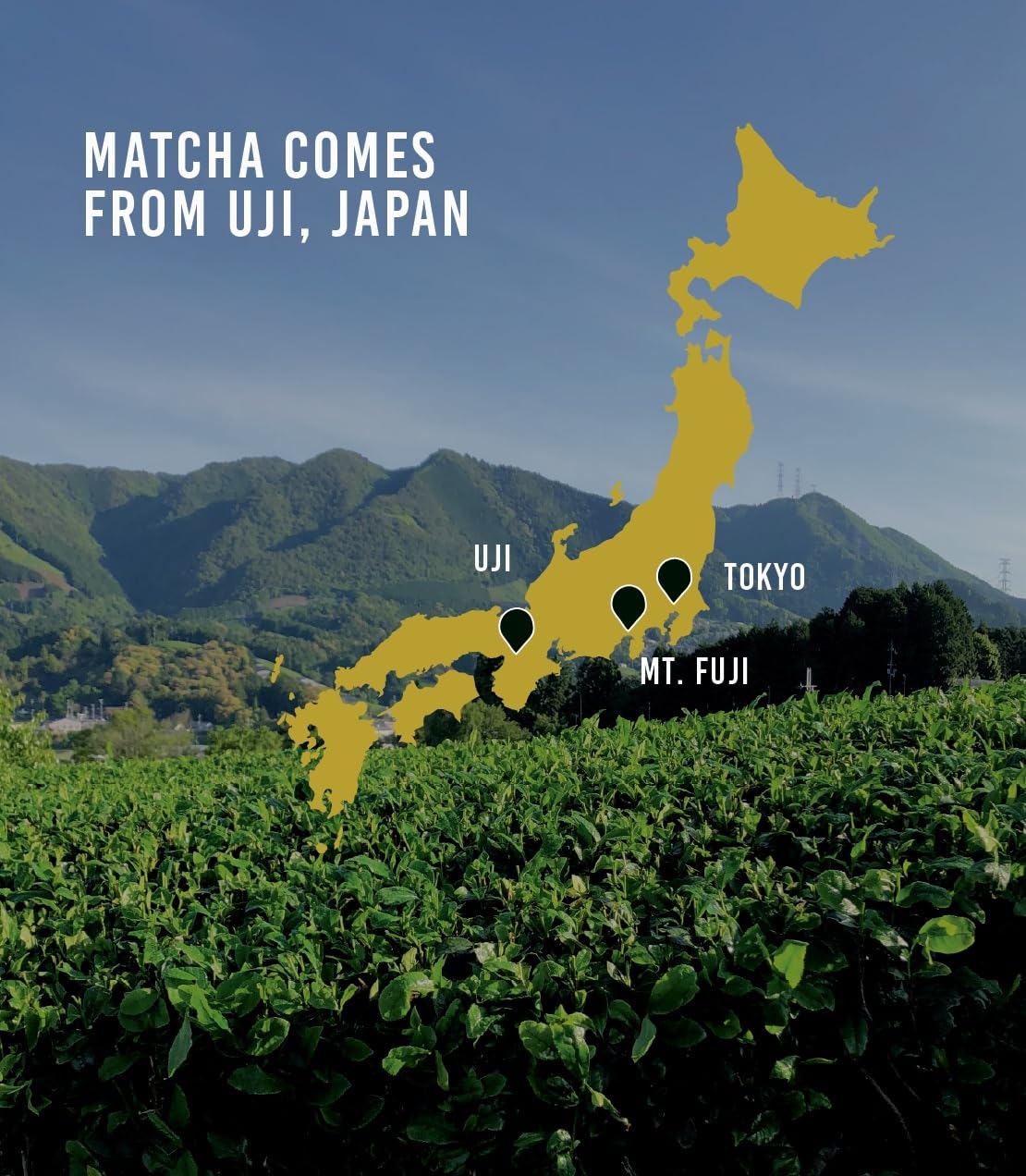 Supreme Matcha Green Tea Powder