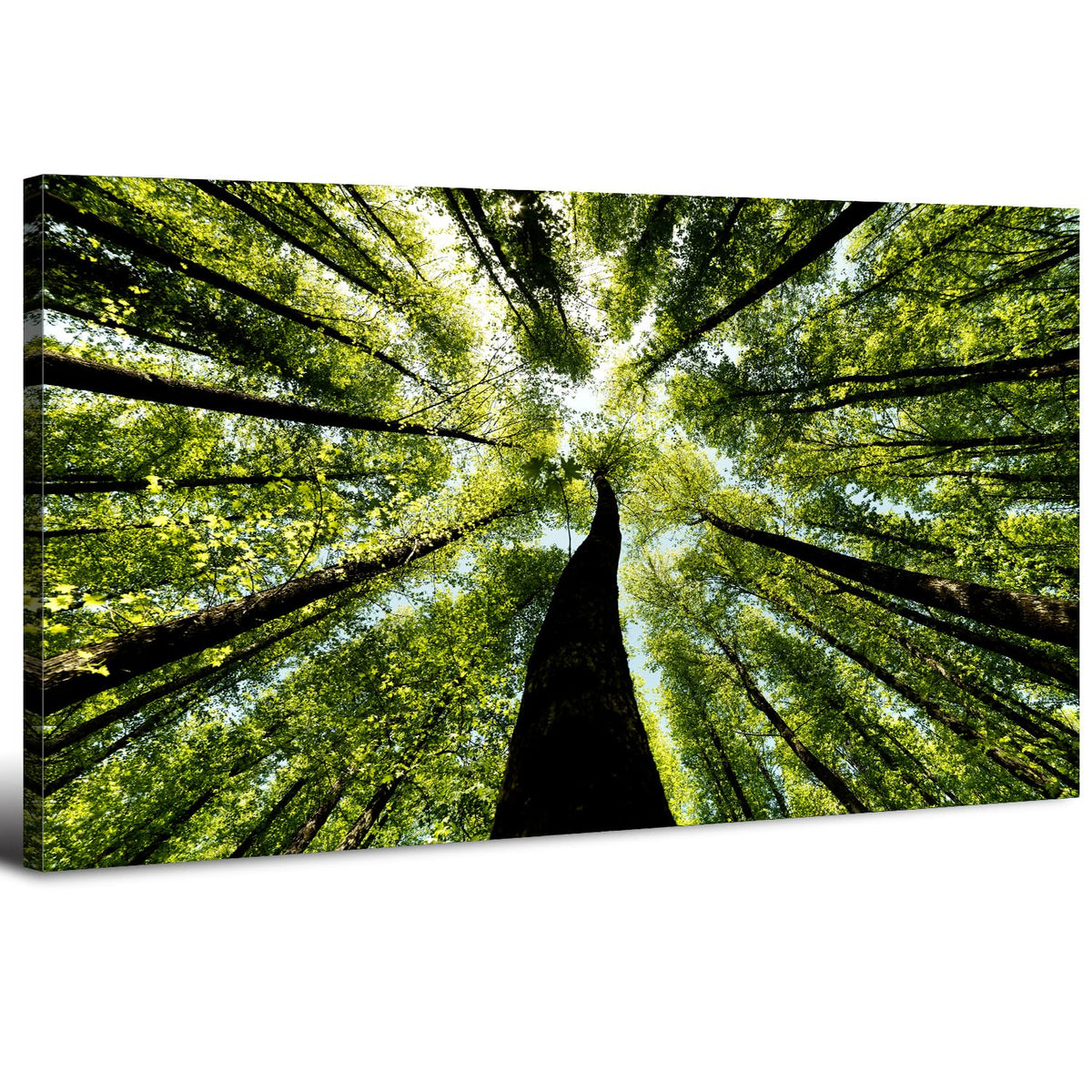 Green Nature Forest Wall Art Mountain Scenic Wall Decor for Living Room Bedroom Sunrise Nature Painting Canvas Prints Morning Sunlight Picture Modern Artwork Living Room Bedroom Home Decoration 24x48" (48"L x 24"W / Forest)