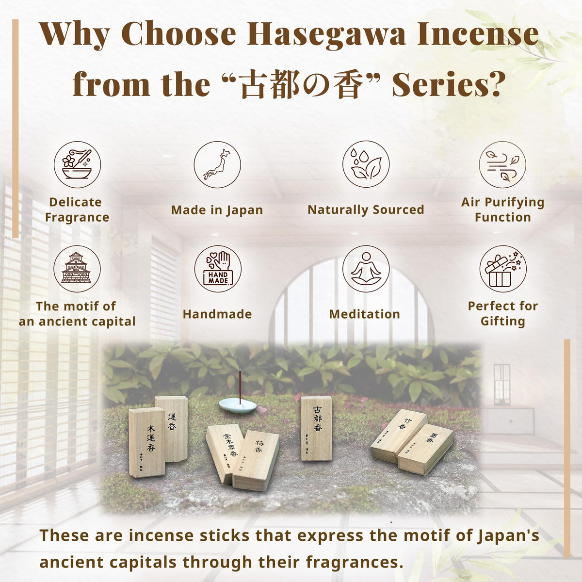 Hasegawa Japanese Smokeless Spring Plum Blossoms Incense (Plum Blossom)