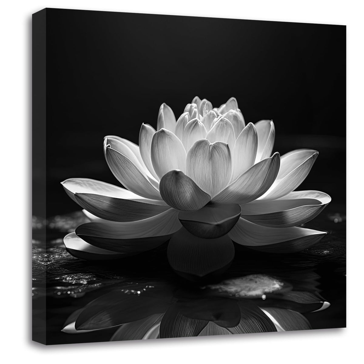 Black White Zen Canvas Wall Art Blossom Lotus Picture Water Lily Prints Spiritual Artwork for Bathroom Meditation Yoga Spa Room Decor (Picture-1 / 16"L x 16"W)