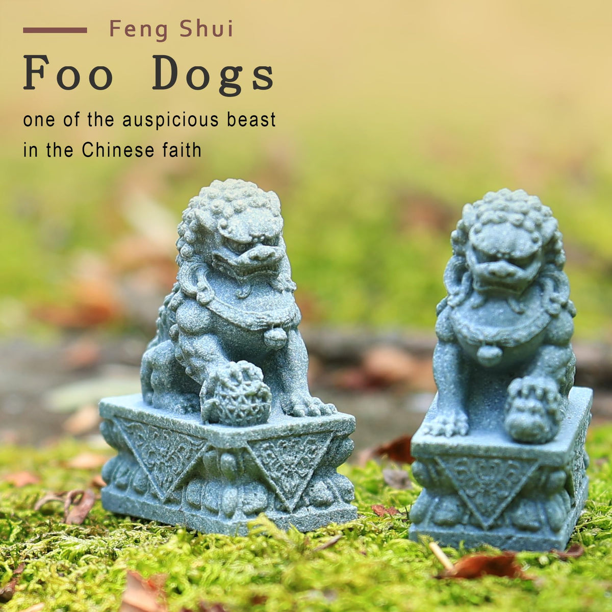 6 PCS Mini Zen Garden Accessories (Garden)