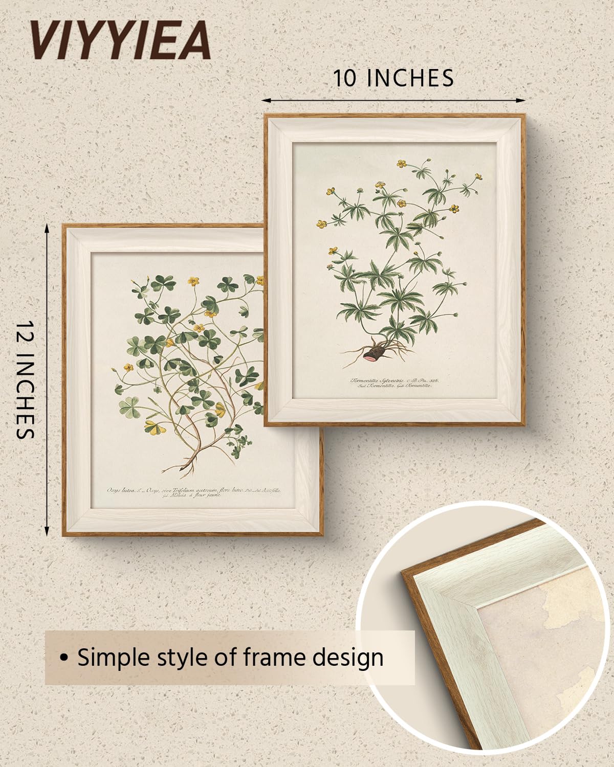 Framed Minimalist Botanical Leaf Botanical Wall Art Set (Twisted Branches / 12"L x 10"W)
