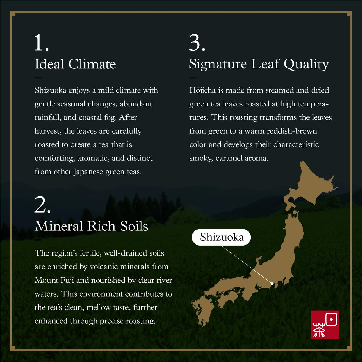 Hojicha Tea Japanese Organic Loose Leaf Green Tea
