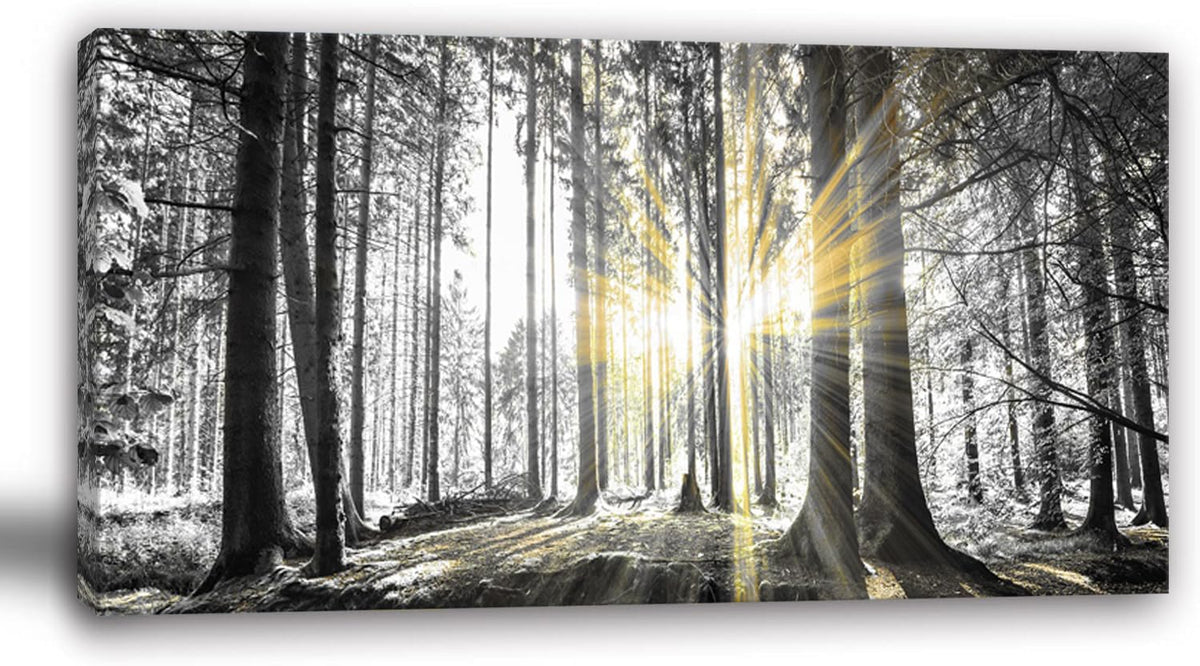 Bedroom Wall Art Decor Black and White Forest Wall Art Trees Picture Large Canvas Prints Landscape Artwork for Walls Nature Scenery Poster Painting Living Room Office Decorations (Blandcape-wb / 48"L x 24"W)