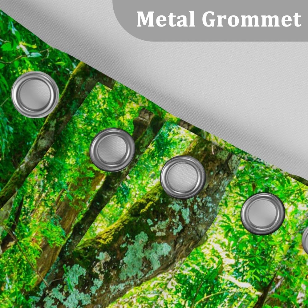 48x72inch Waterfall Shower Curtain Tropic Landscape Stream Flowing Over Rocks in Forest Woodland Nature Scenery Bathroom Set Spring Summer Green Plant Bath Curtain Fabric Polyester with Hooks (48"W x 72"L (Pack of 1) / Green04)
