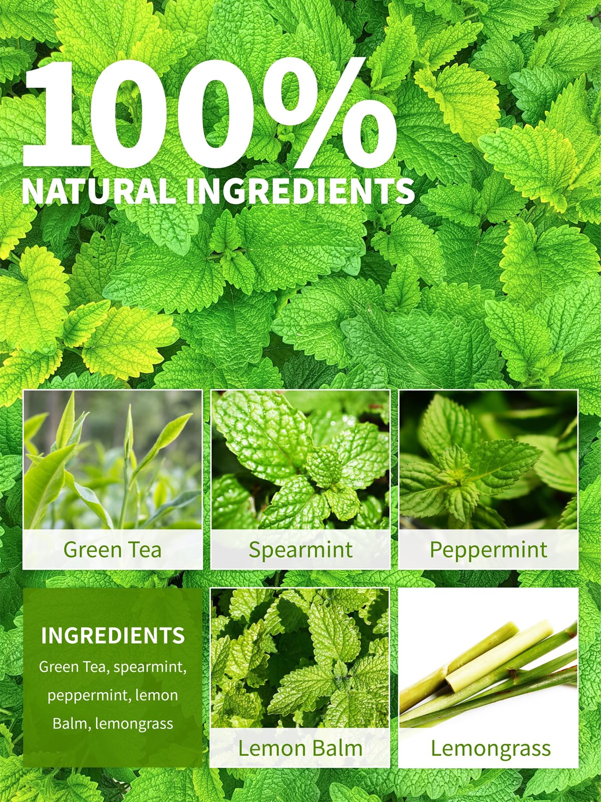 Mint Green Tea Bags (100 Count (Pack of 1))