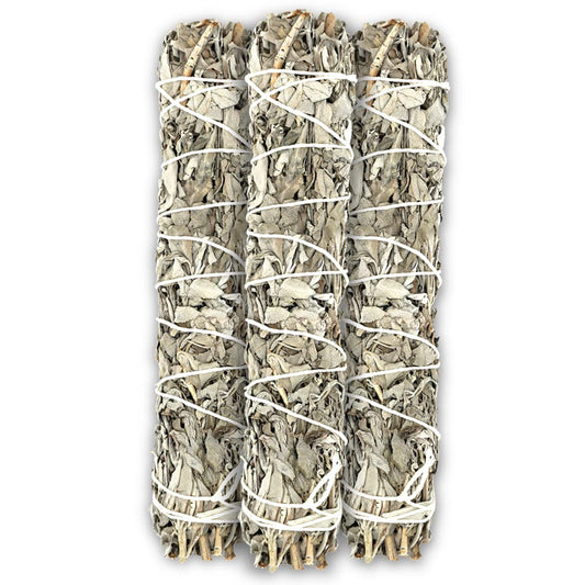White Sage 9" (9 Inch / 3 PIECES)