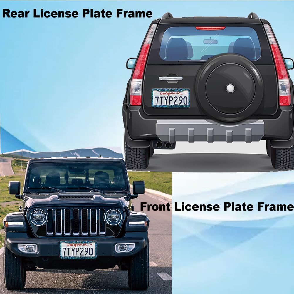 Faux Abalone License Plate Frame for Women 2Pc Car Tag (for Faux Abalone)