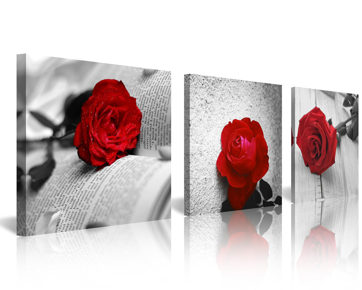 3 Pcs Modern Canvas Painting Black and White Red Rose Canvas Art Abstract Wall Art Decorations Flower Picture on Canvas for Home Decor (16 x 16 inches (3-Piece Set) / B-Rose)