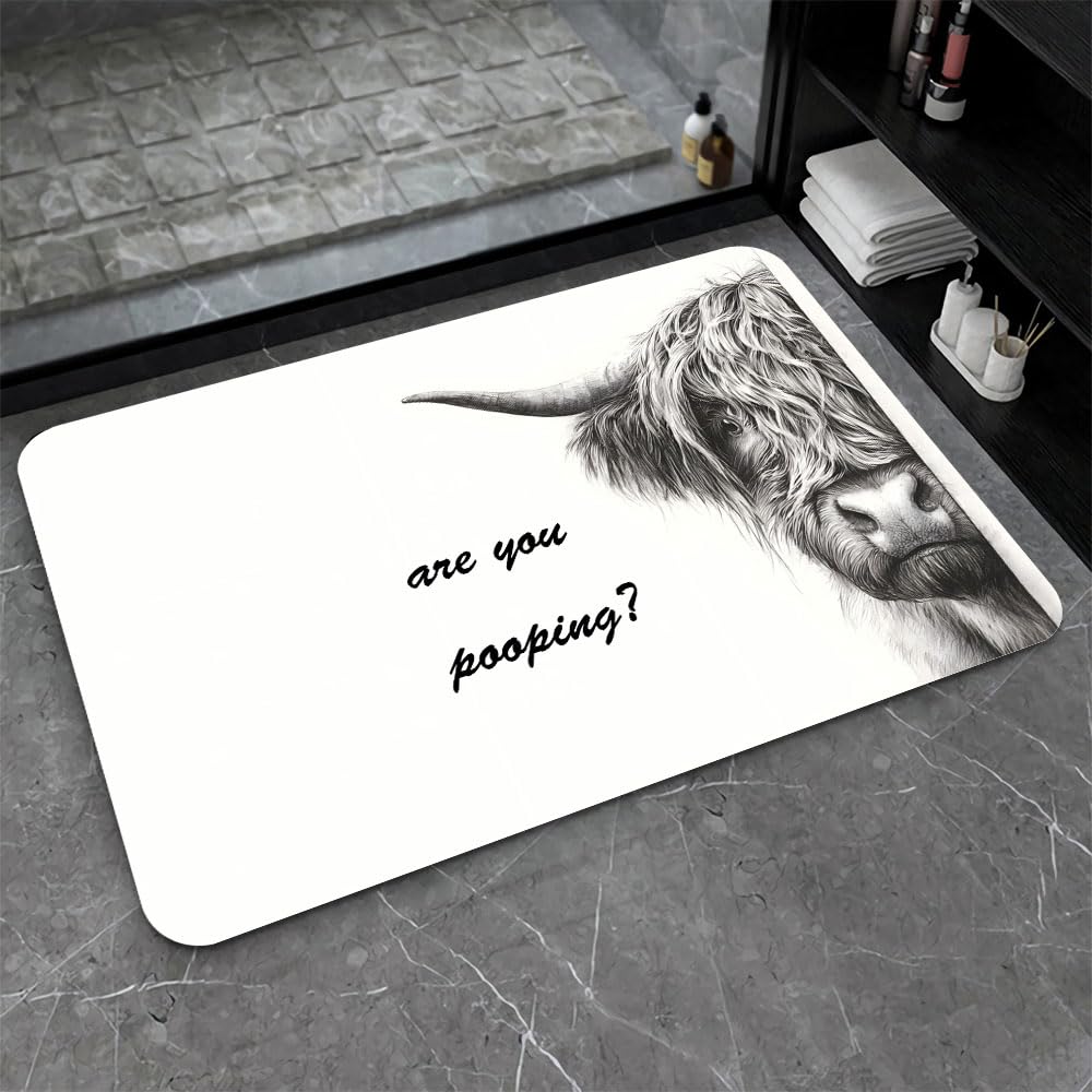 Bath Mat Bathroom Rug (Highland Cow Prank / 16 x 24 inches)