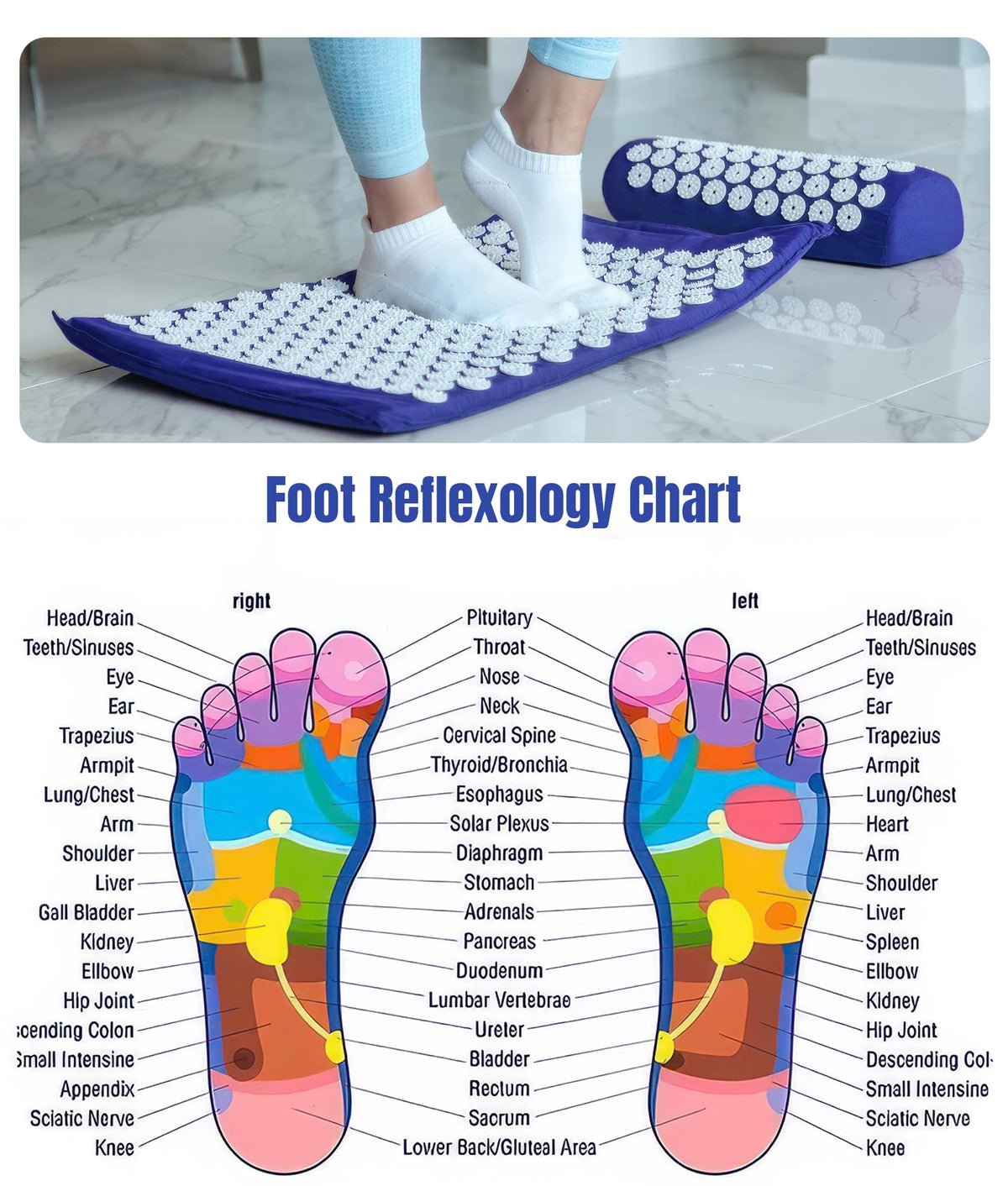 Acupressure Mat And Pillow Set (Blue)