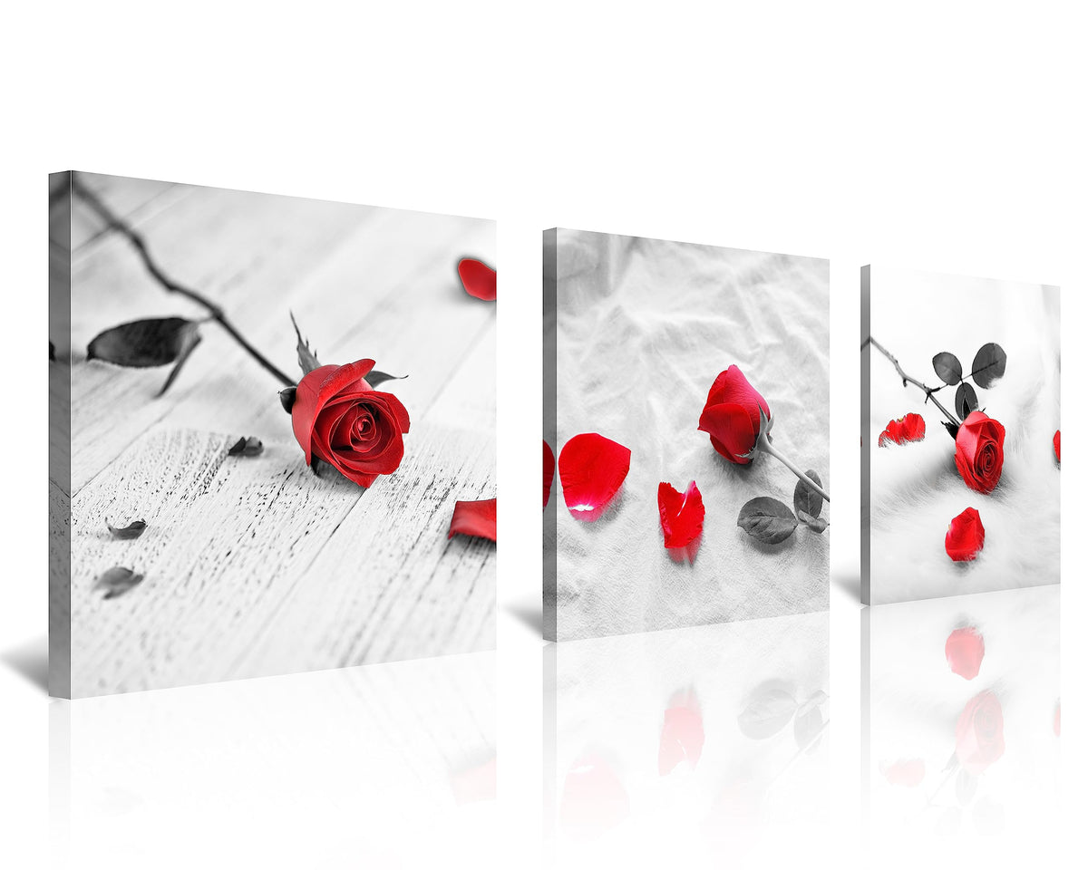 3 Pcs Modern Canvas Painting Black and White Red Rose Canvas Art Painting Abstract Wall Art Decorations Flower Picture on Canvas for Home Decor (16 x 16 inches (3-Piece Set) / C-Rose)