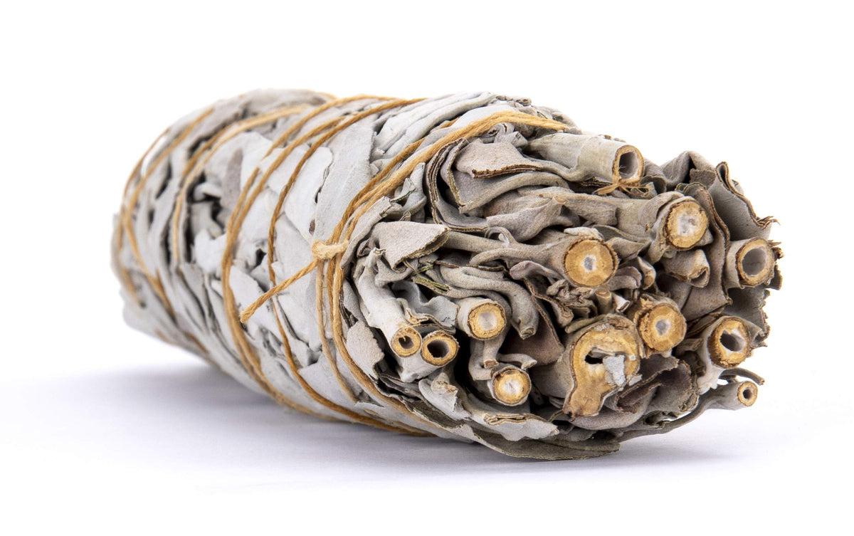 California White Sage Large Incense Bundle (White Sage – Single)